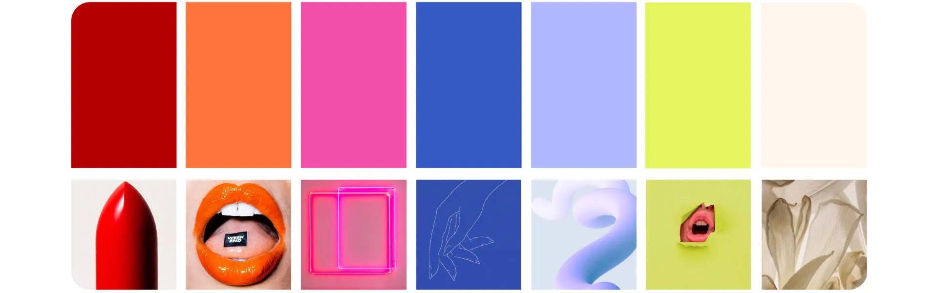 Libidify: detalle del proyecto