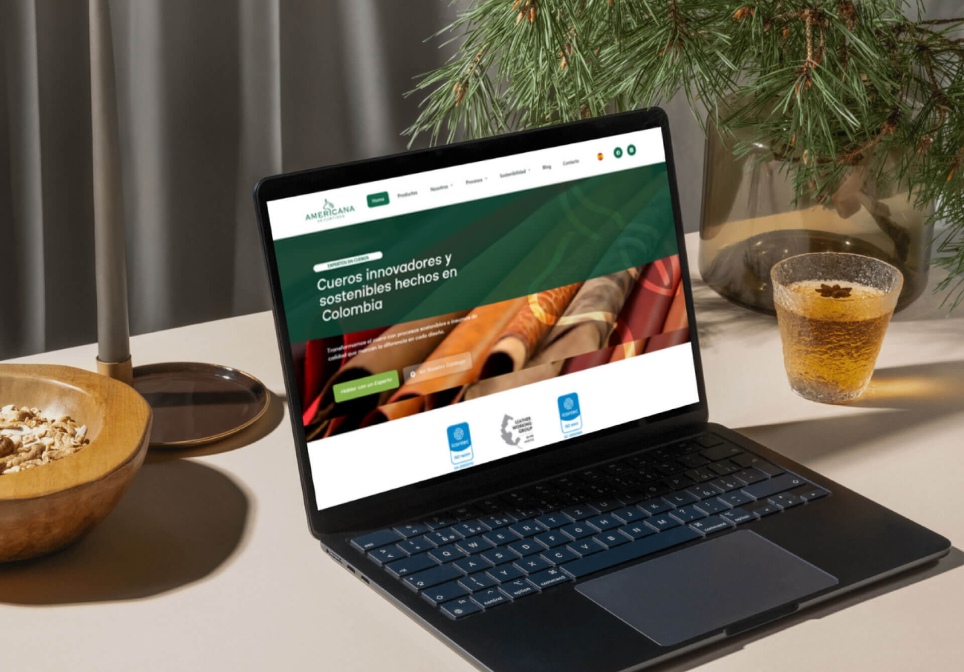 Diseño Web Informativa con Catalogó de productos Americana de Curtidos