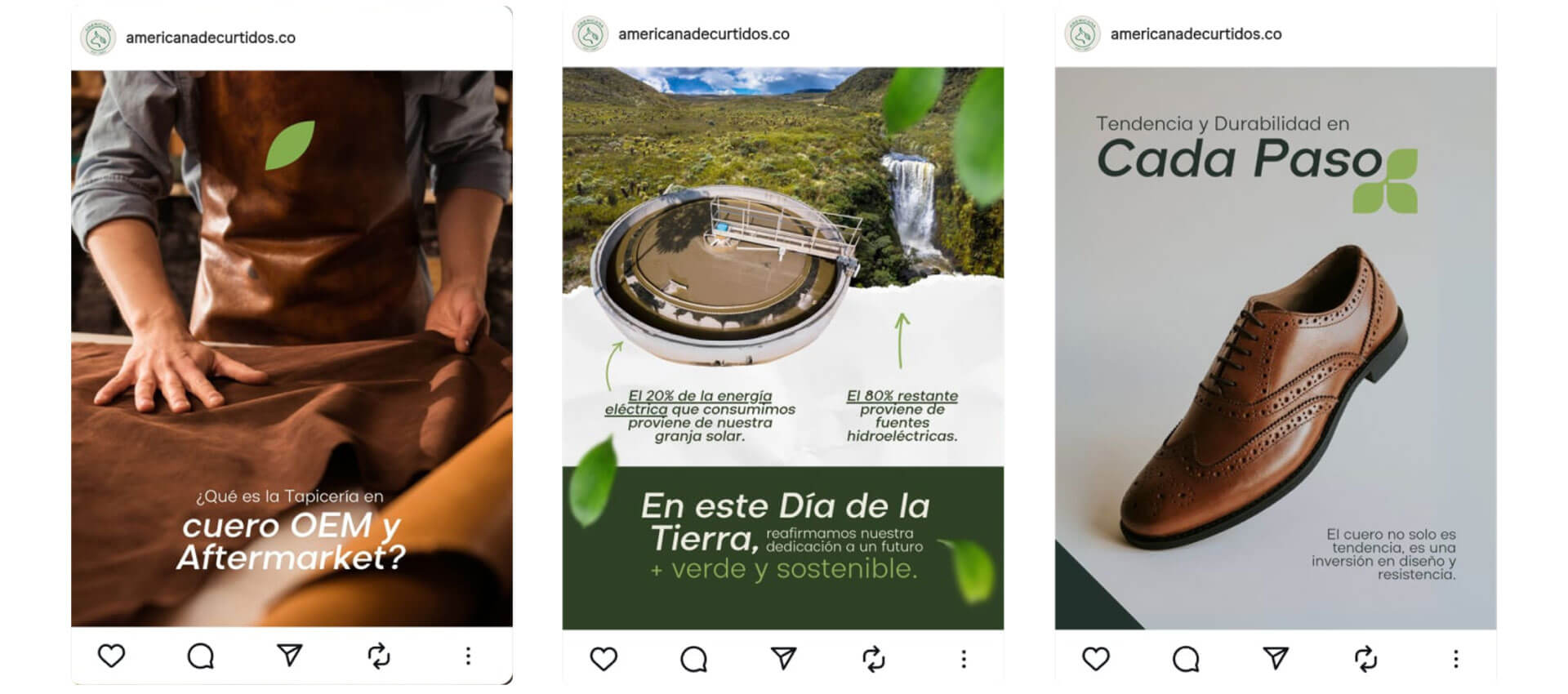 Manejo de Redes Sociales Americana de curtidos