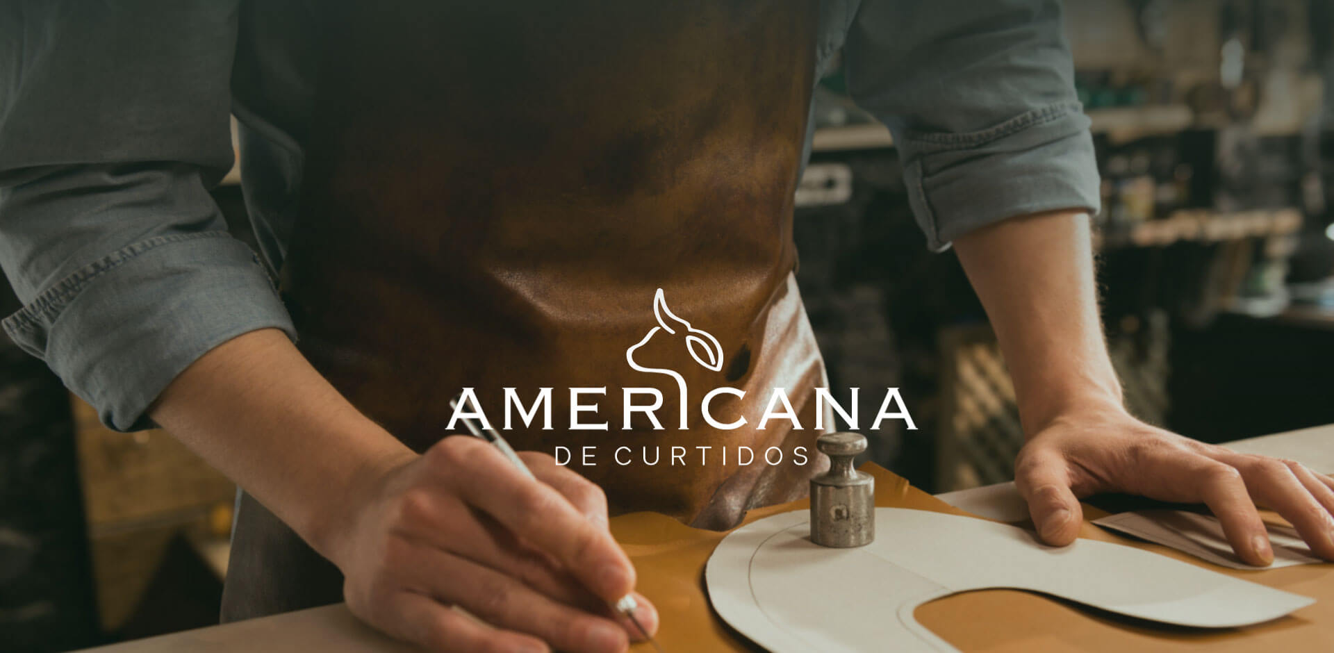 Proyecto Americana de Curtidos